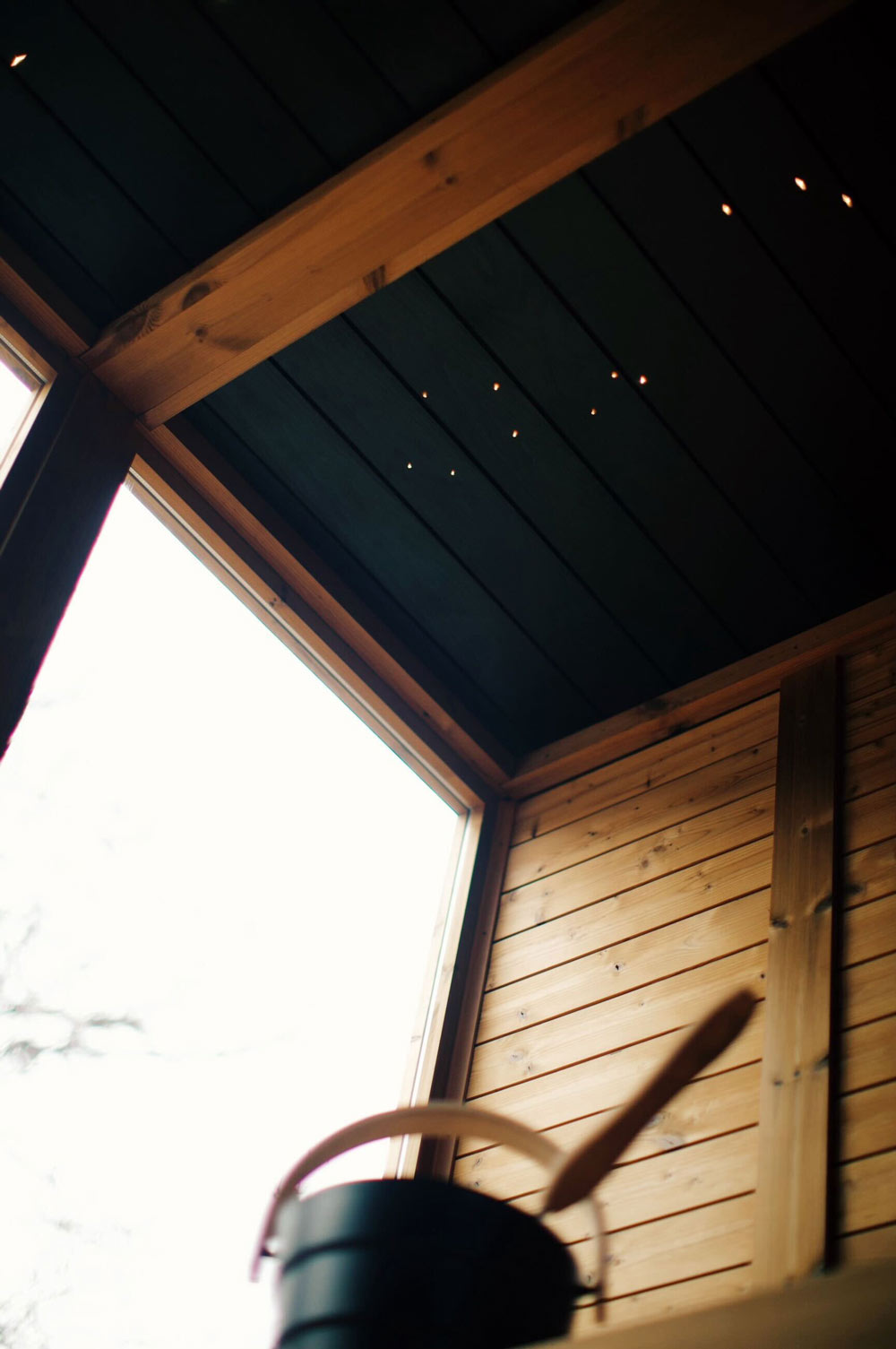 Thermory Mod4 Modern - Superior Saunas