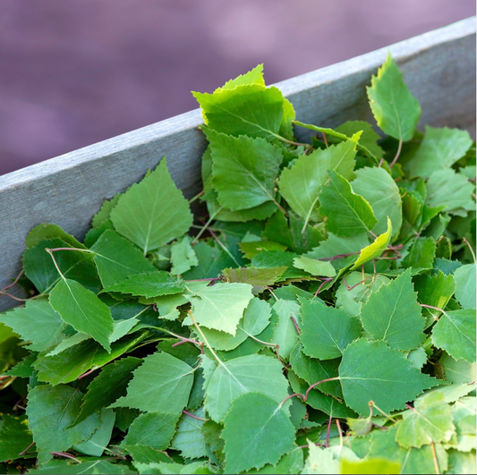 Nystad Forest Bath Sachet, Birch & Peppermint, 1pk